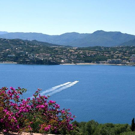 Villa Vetricella Corse Sud Olmeto  Exterior photo