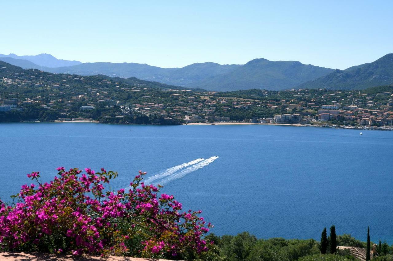 Villa Vetricella Corse Sud Olmeto  Exterior photo