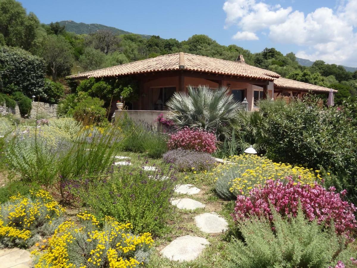 Villa Vetricella Corse Sud Olmeto  Exterior photo